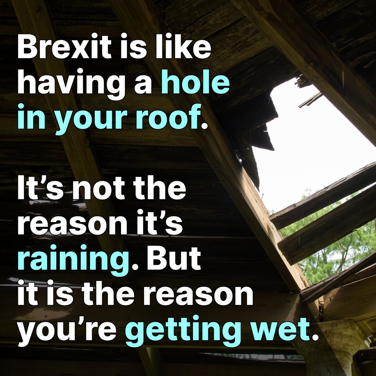 Stay European #RejoinEU 🇪🇺 #FBPE tweet media