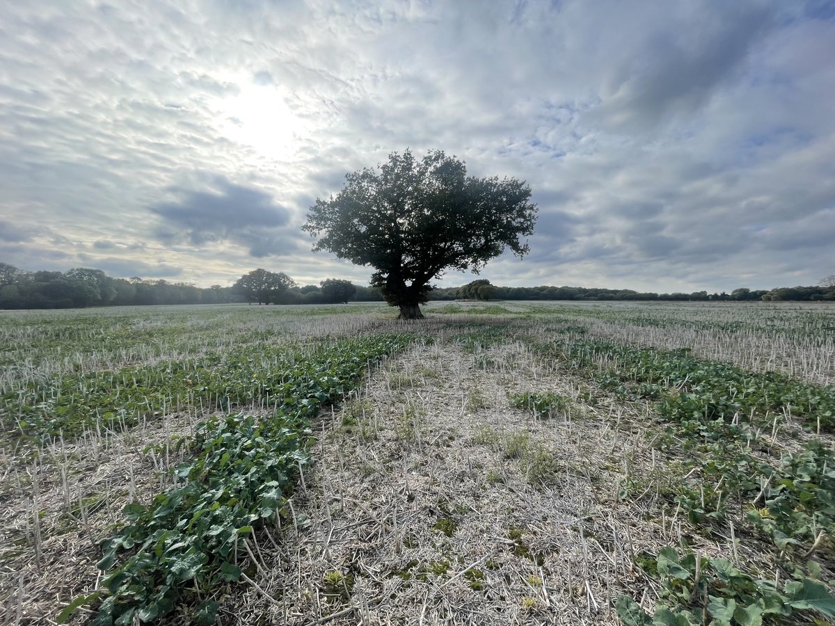 Patrick Barkham tweet media