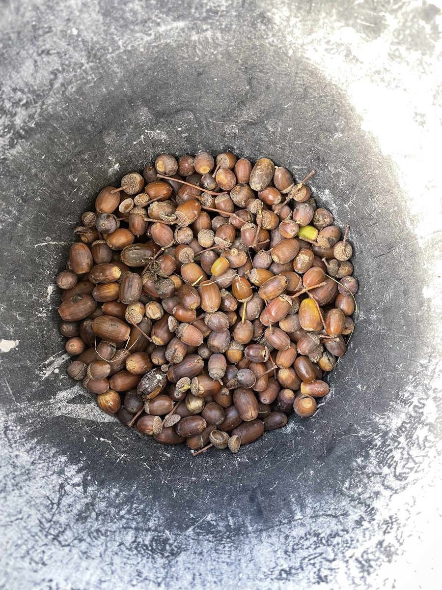 Patrick Barkham tweet media