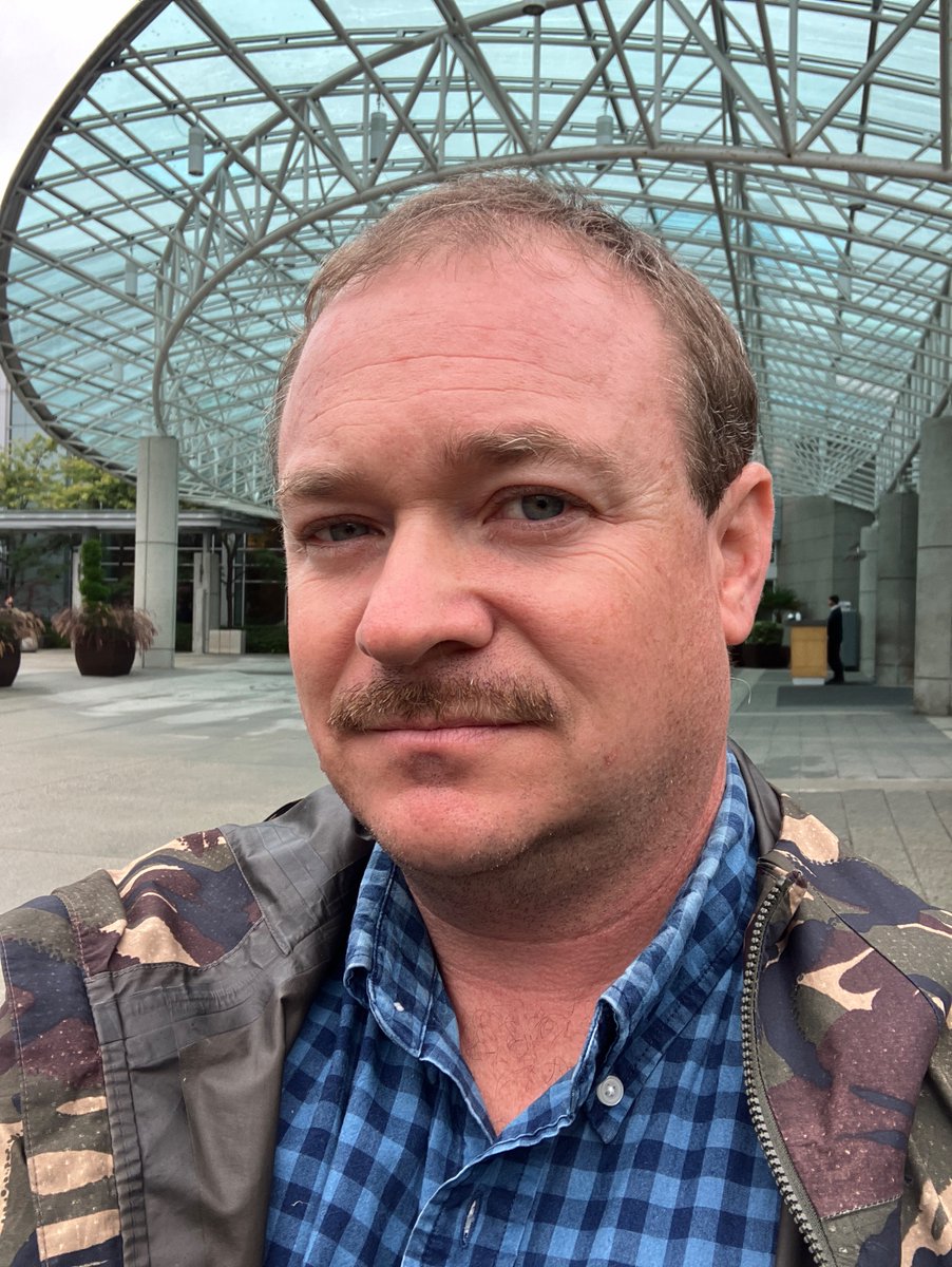 David P. Ball 🦔 tweet media