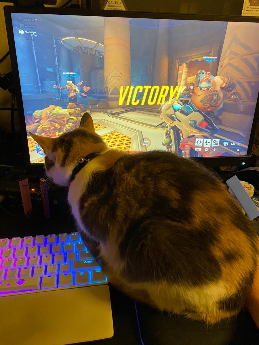 scorpio_gf's tweet photo. opps tried to hinder me but i won regardless https://t.co/5ls3jheoZ3