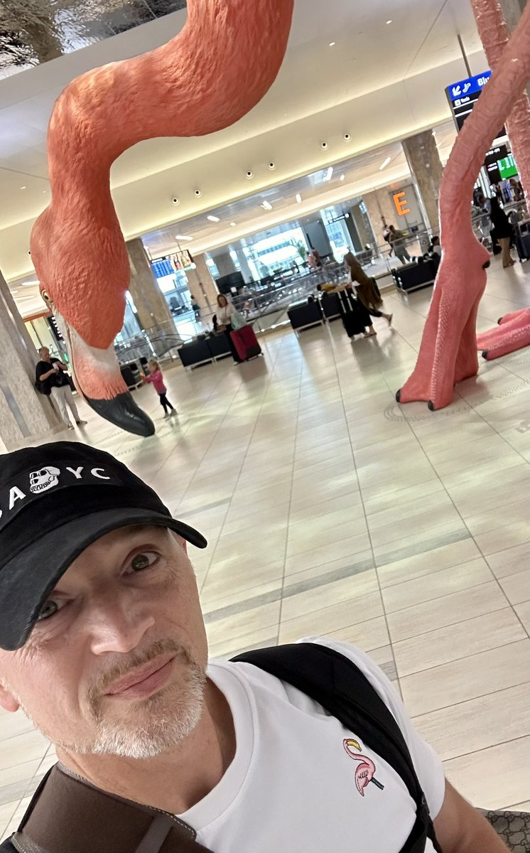 Just a couple Tampa flamingos

✈️🦩🤝🍌🦩