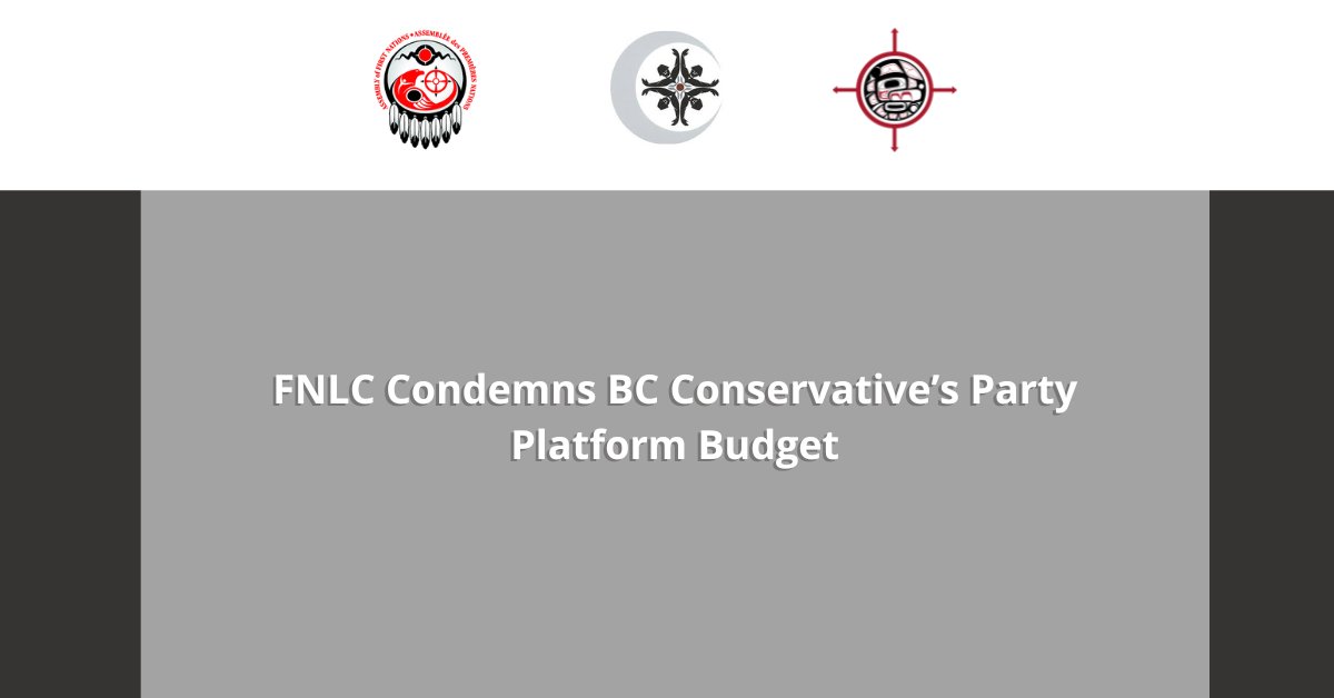 UBCIC (@ubcic) on Twitter photo "The BC  Conservative Party does not take leadership seriously, they do not take  reconciliation seriously, and they clearly do not take fiscal  responsibility seriously." Grand Chief Stewart Phillip ubcic.bc.ca/fnlc_condemns_… "The BC  Conservative Party does not take leadership seriously, they do not take  reconciliation seriously, and they clearly do not take fiscal  responsibility seriously." Grand Chief Stewart Phillip ubcic.bc.ca/fnlc_condemns_…