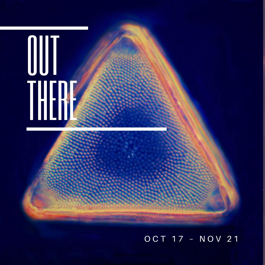 Sans. PRESS tweet media