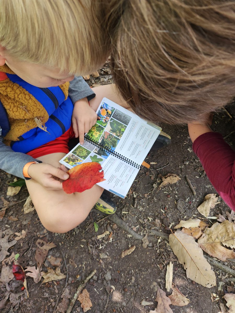 UrbanAdvSquad's tweet image. On Monday, #SquadMembers learned about the many ways the Nacotchtank relied on trees in and around Rock Creek Park. We spent Indigenous Peoples' Day learning and playing under those trees. #SquadMembers identified over 12 species!

#ThisIsOutdoorLearning 
#CityAsAClassroom