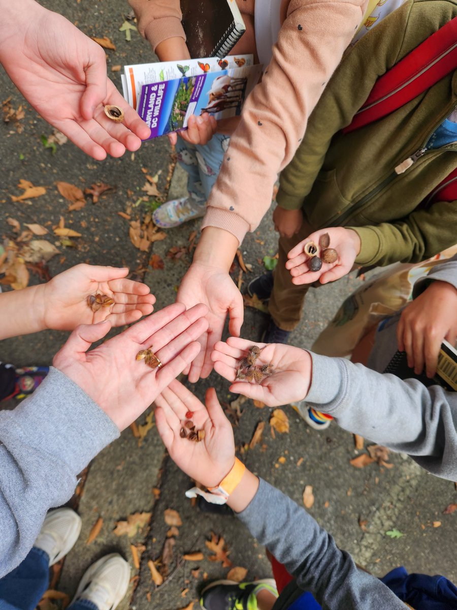 UrbanAdvSquad's tweet image. On Monday, #SquadMembers learned about the many ways the Nacotchtank relied on trees in and around Rock Creek Park. We spent Indigenous Peoples' Day learning and playing under those trees. #SquadMembers identified over 12 species!

#ThisIsOutdoorLearning 
#CityAsAClassroom