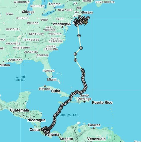 conserveturtles's tweet photo. Leatherback turtle Donna Shello continues to lead the pack in the #TourdeTurtles marathon! Since nesting in Panama this past May, she has traveled 4,000+ miles, swimming north through the Caribbean Sea and riding the Gulf Stream up the US East Coast. https://t.co/HmYKrHAp6w https://t.co/Nbl6MODzzF