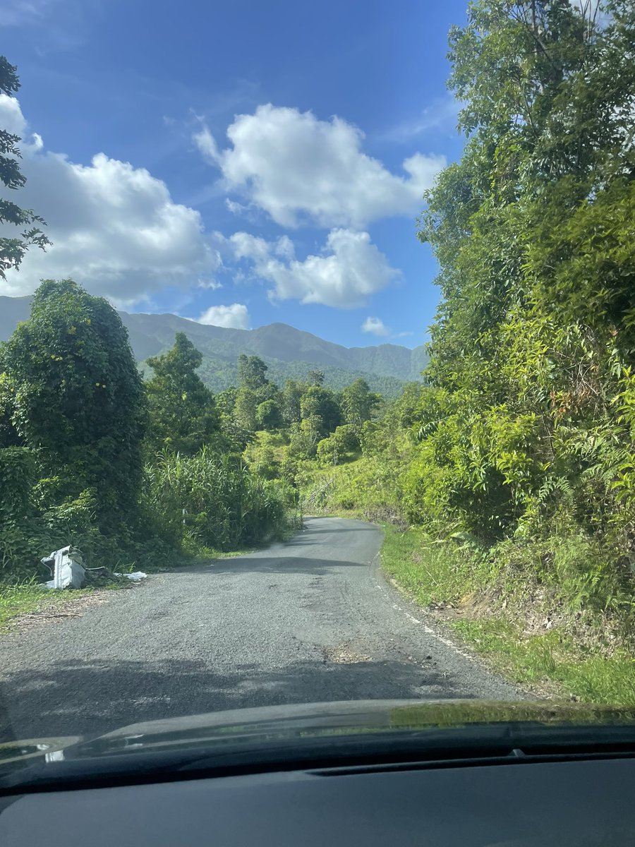 A smattering of my views in Puerto Rico. Having an awesome and restorative time at the Kineo Center <a href="/danwhitejr/">Dan White Jr.</a> 
#sabbath