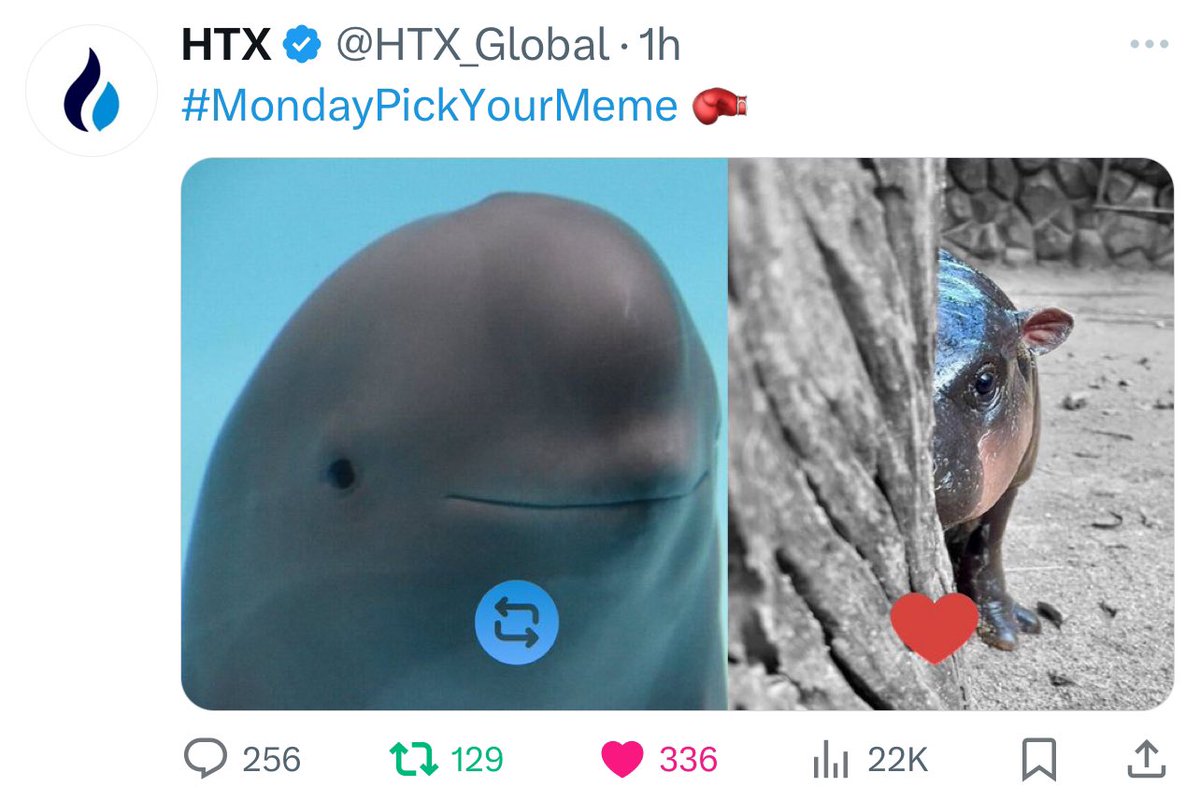 titussliffy's tweet photo. Maybe $miharu could be that

The only viral meme comparable to $moodeng

 posted by X ,game stop , CMC & HTC in past 3 days

Ilisted on 4 major exchanges and 6000 holders 

ATH of 20M with Massive English & Chinese community working hard

Rn in a good dip 

CA : 6tVZVjcppH2BZ9Xj5yFU1Zt34m2rYcyDqqpSeMDZpump