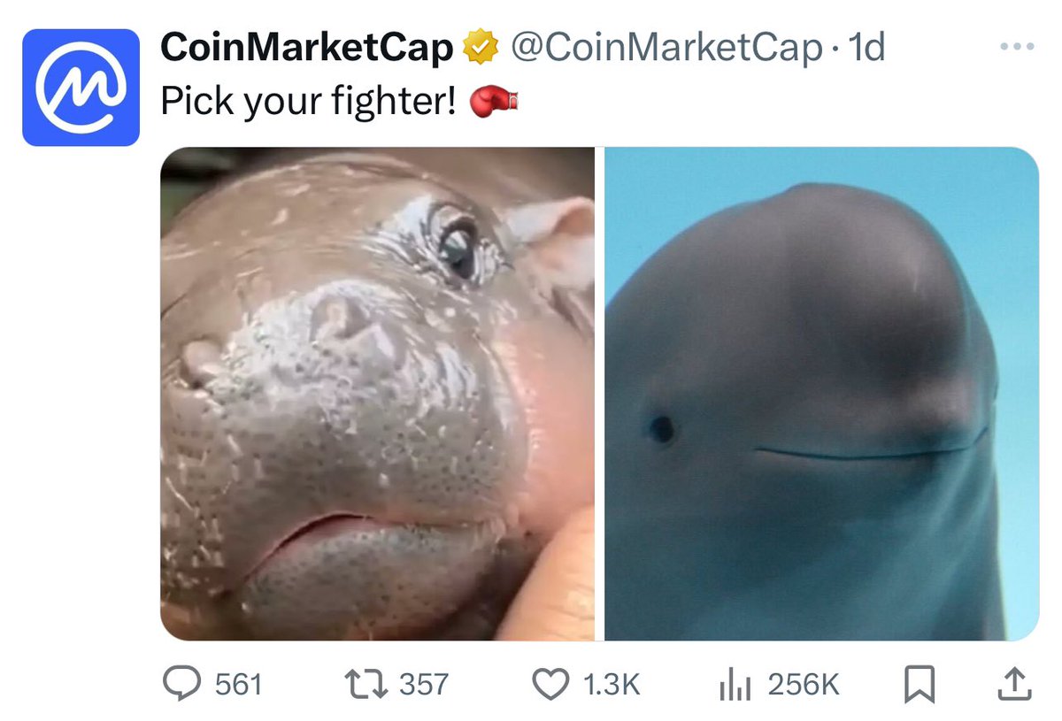 titussliffy's tweet photo. Maybe $miharu could be that

The only viral meme comparable to $moodeng

 posted by X ,game stop , CMC & HTC in past 3 days

Ilisted on 4 major exchanges and 6000 holders 

ATH of 20M with Massive English & Chinese community working hard

Rn in a good dip 

CA : 6tVZVjcppH2BZ9Xj5yFU1Zt34m2rYcyDqqpSeMDZpump