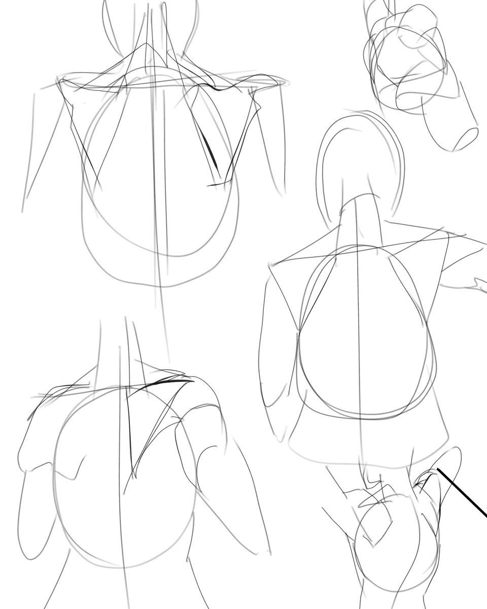 Day 32 scapula 🦴#drawing #illust #doodle #illustration #art #artwork #artist #clipstudio #digitalart #painting #일러스트 #그림 #낙서 #procreate #fanart #doodle #sketch #rkgk #characterdesign