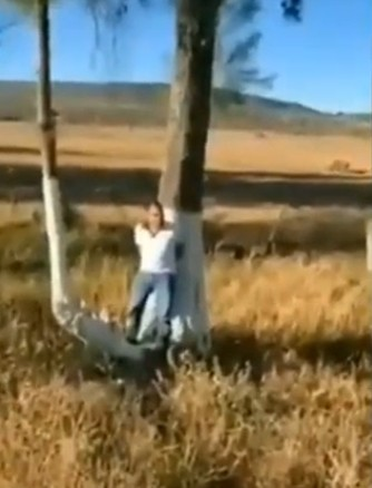 LUCASANDRELESS1's tweet photo. Ejecución a sangre fría es grabada en video, HUGO FIGUEROA VIDEO, video de hugo figueroa, El Corrido De Hugo Figueroa
Hugo Figueroa Video

🔗🆕https://t.co/Jg88EtMVjz https://t.co/3rX76xuZ9e