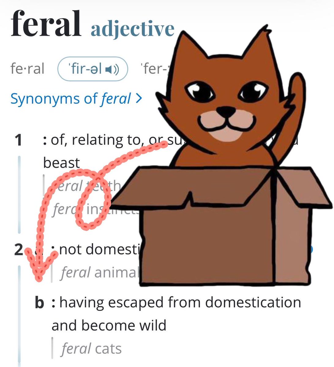 Schrödinger - $DINGER tweet media