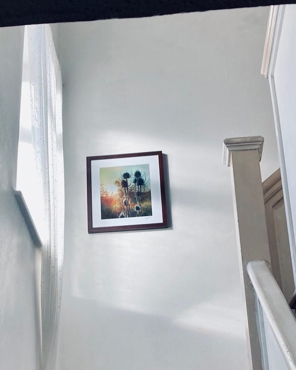 John Ball tweet media