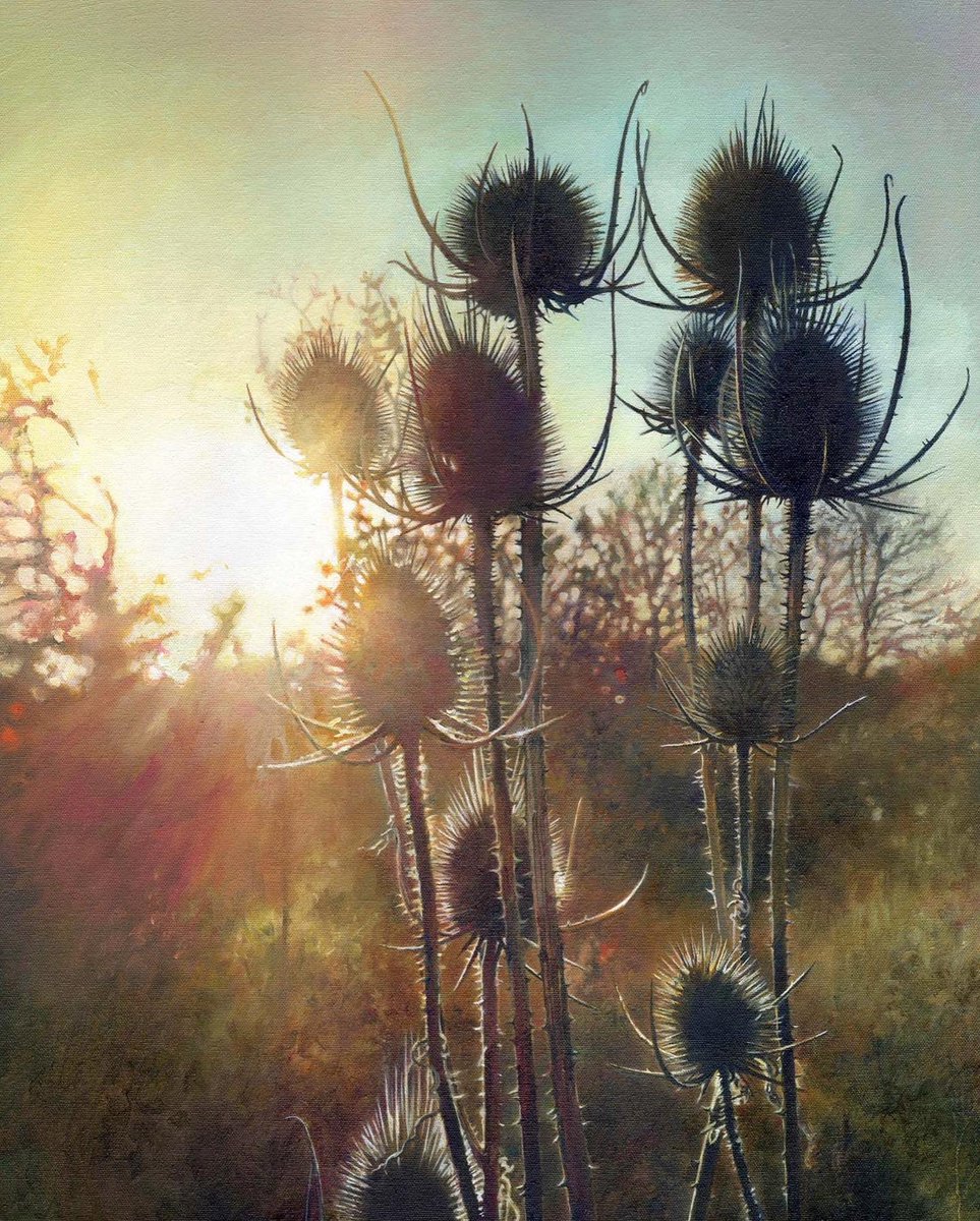 John Ball tweet media