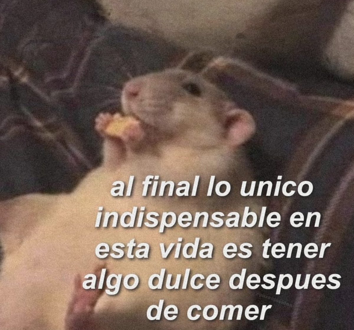 piña sin pizza (@skereunpesado) on Twitter photo 