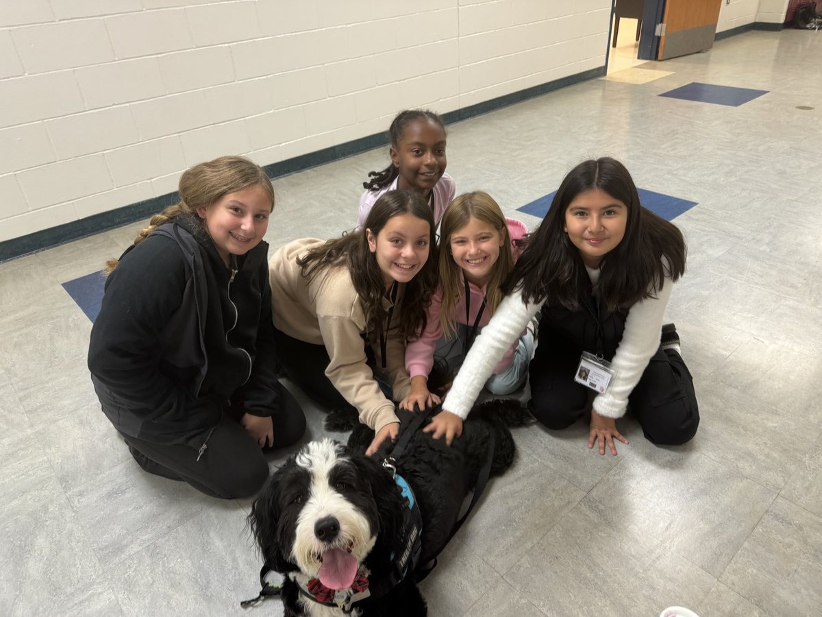 Archie THE Therapy Dog tweet media