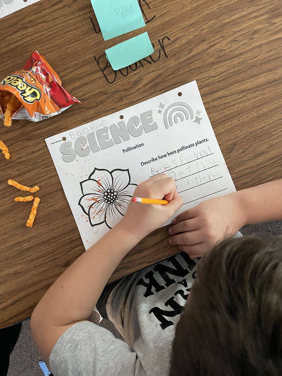 MissMeyerpeter's tweet photo. Today we made a model to show how bees pollinate flowers! We pretended our finger was a bee and the Cheetos were flowers covered in pollen. We had so much fun seeing how bees transfer pollen to other flowers! #TrustyHuskies https://t.co/n566mSWcmU