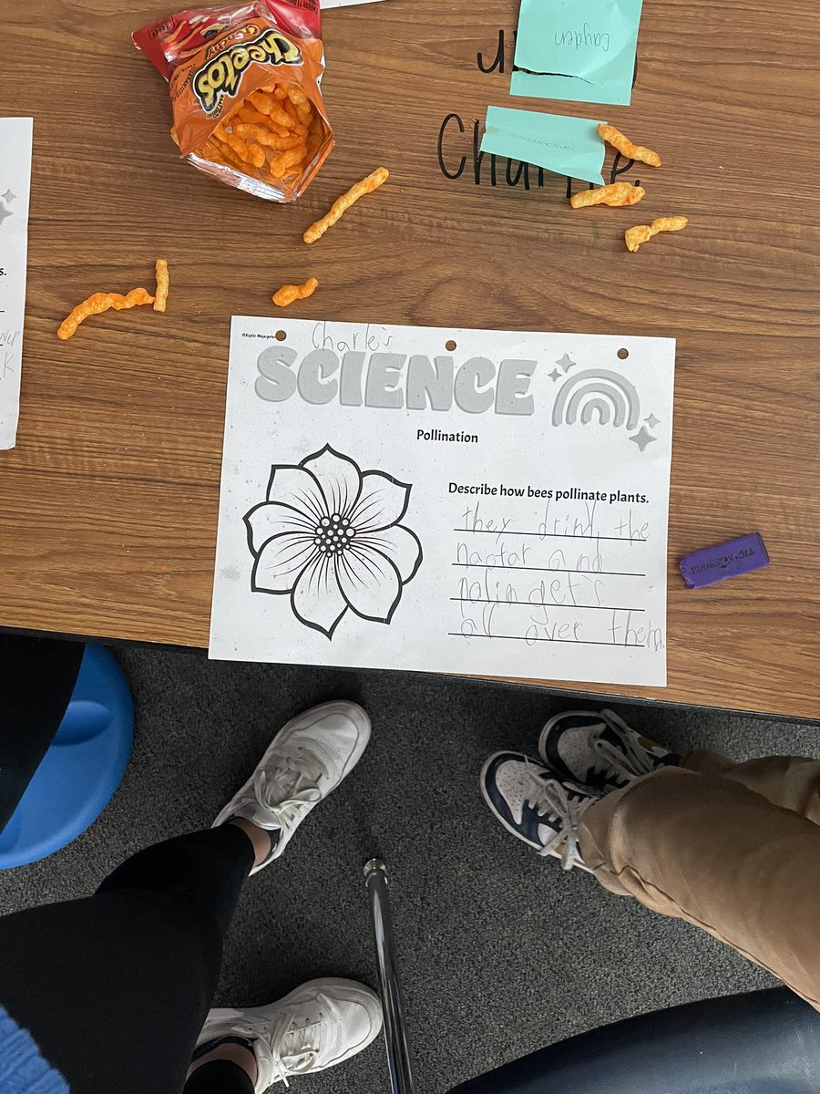 MissMeyerpeter's tweet photo. Today we made a model to show how bees pollinate flowers! We pretended our finger was a bee and the Cheetos were flowers covered in pollen. We had so much fun seeing how bees transfer pollen to other flowers! #TrustyHuskies https://t.co/n566mSWcmU