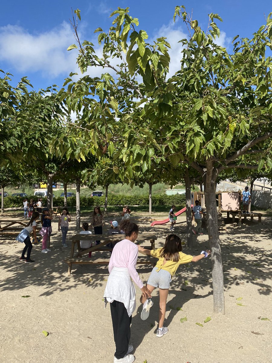 Escola Ítaca tweet media