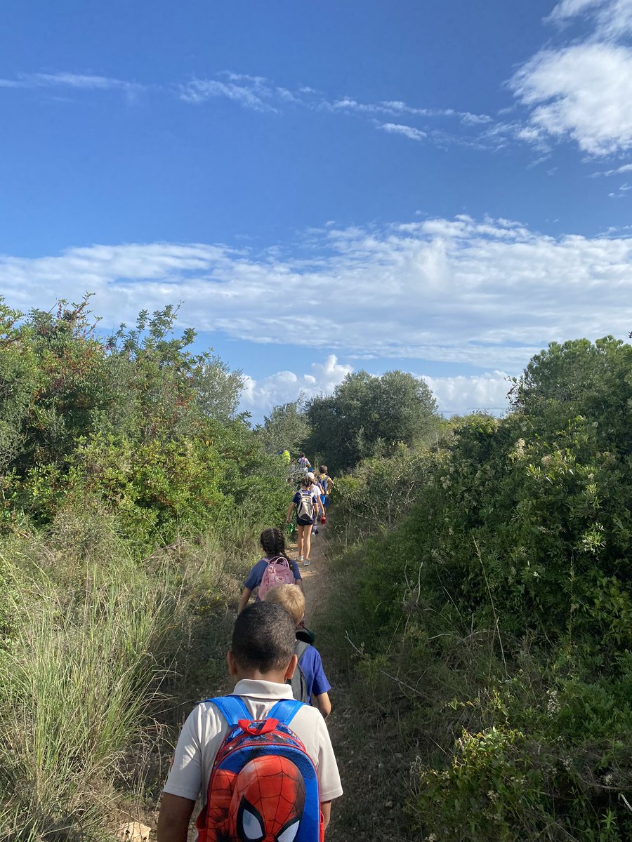 Escola Ítaca tweet media