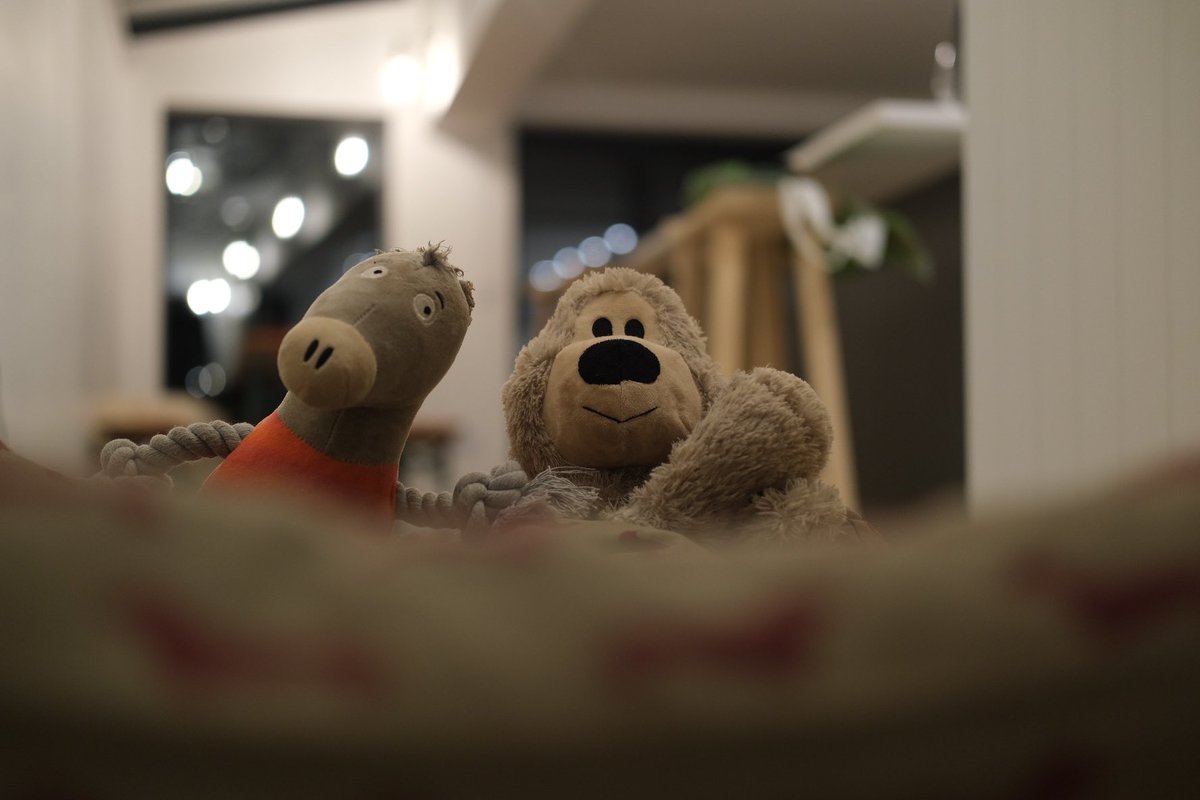 Wally Bobbers 💜 tweet media