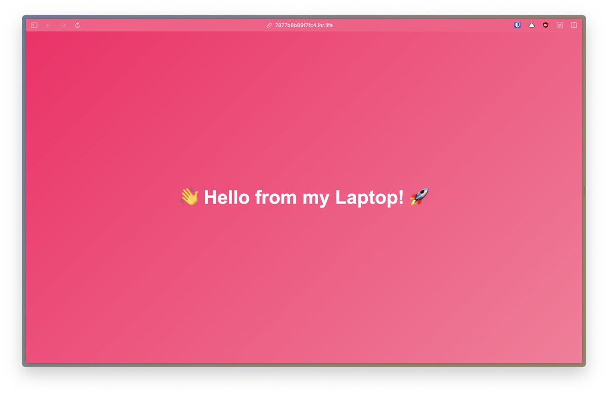 Just added a <a href="/localhost_run/">localhost.run</a> to @smallwebapp !

Just run `smallweb tunnel <app>` to get a public url for your smallweb app.