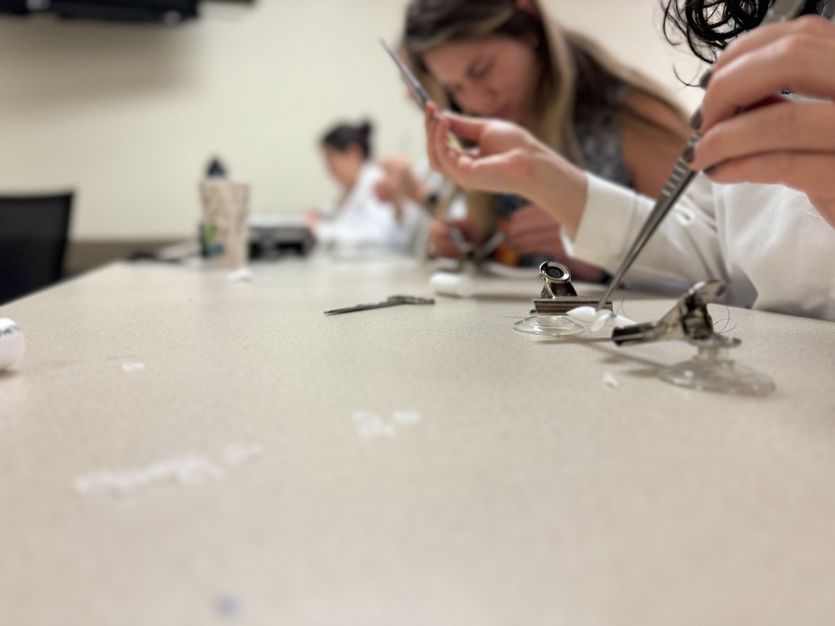 Dell Med Vascular Surgery tweet media