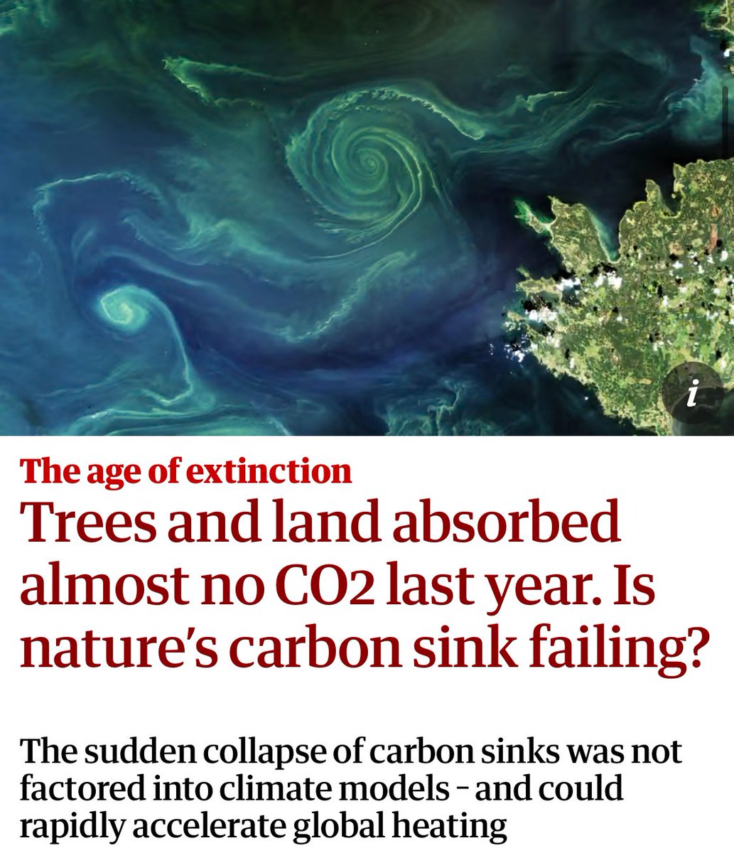 miestheriosa's tweet photo. "In 2023, the hottest year ever recorded the amount of carbon absorbed by land has temporarily collapsed. Forest, plants and soil – as a net category – absorbed almost no carbon"

Que 
el nostre 
planeta 
ja no pot 
respirar!

▪️https://t.co/1ACXIQ8S51 https://t.co/99avsZKPnT