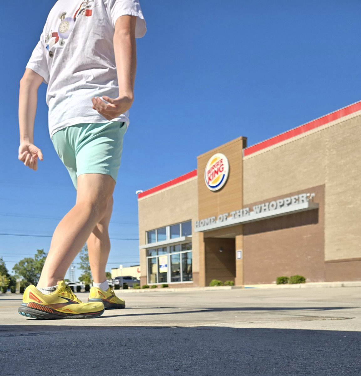 Matt (Absol) tweet media