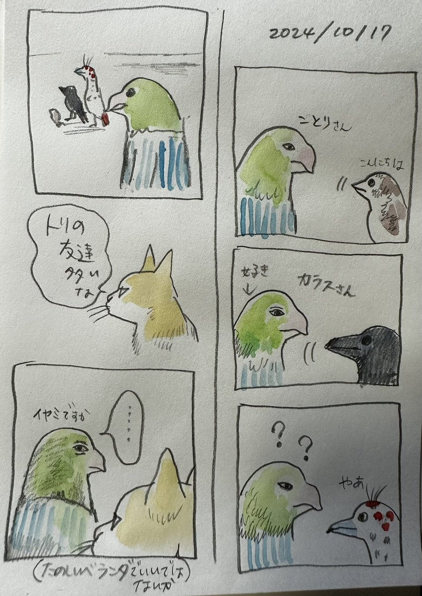 ボリス絵日記 ベランダにて