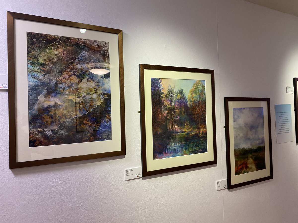 sock gallery tweet media