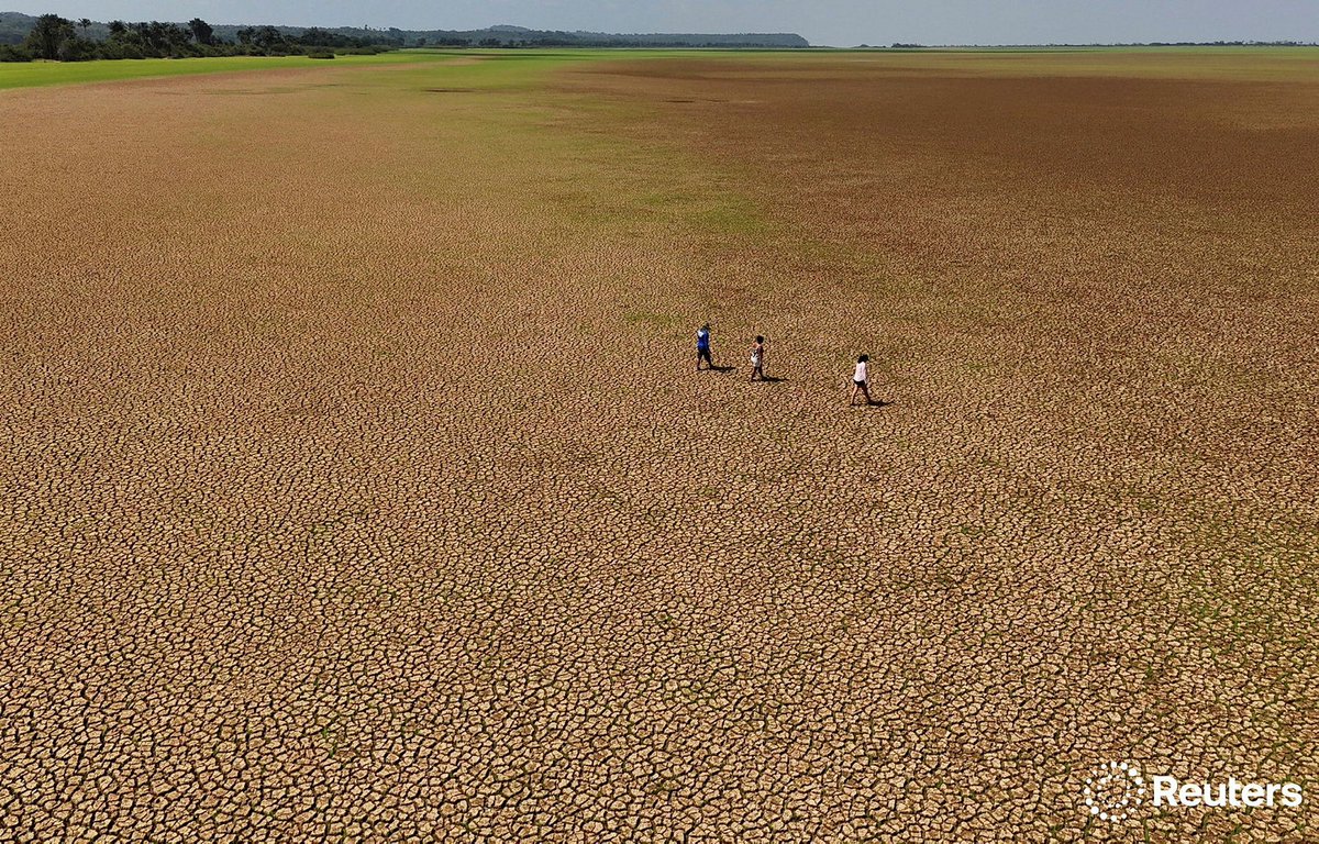 Amanda Perobelli tweet media