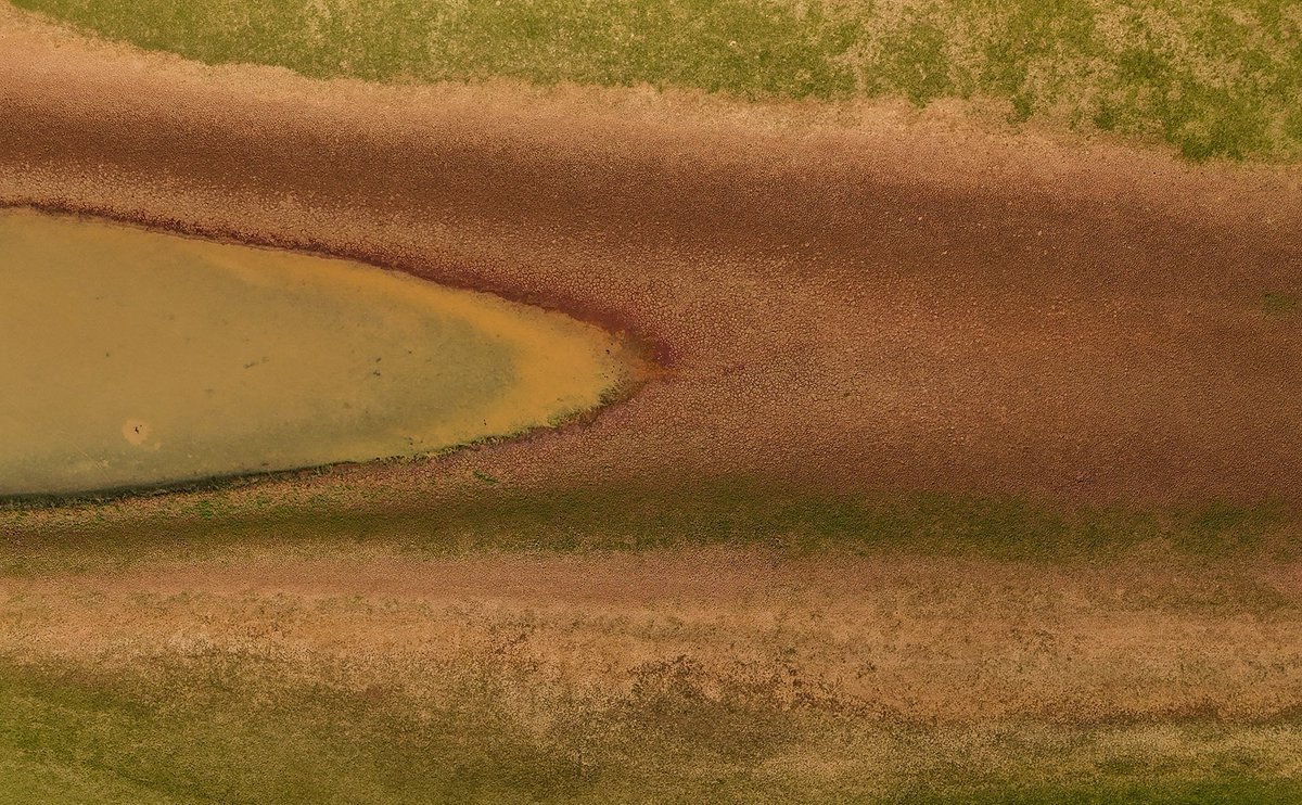 Amanda Perobelli tweet media