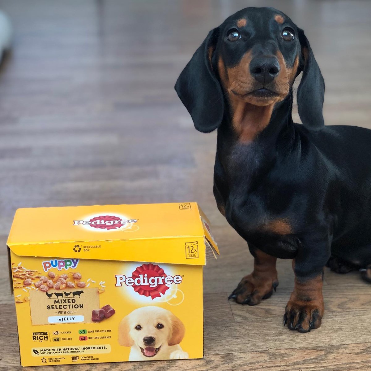 A few things that made us smile recently:
➿ Addy's bouncy curls from her Tresemme program
💅 Pringle nail art
☕ A cat who likes coffee (relatable)
🦴 Lauren's model weenie dog 

Ready to start getting programs like them? Hit the link: influenster.onelink.me/X3Os/bdsvz0my