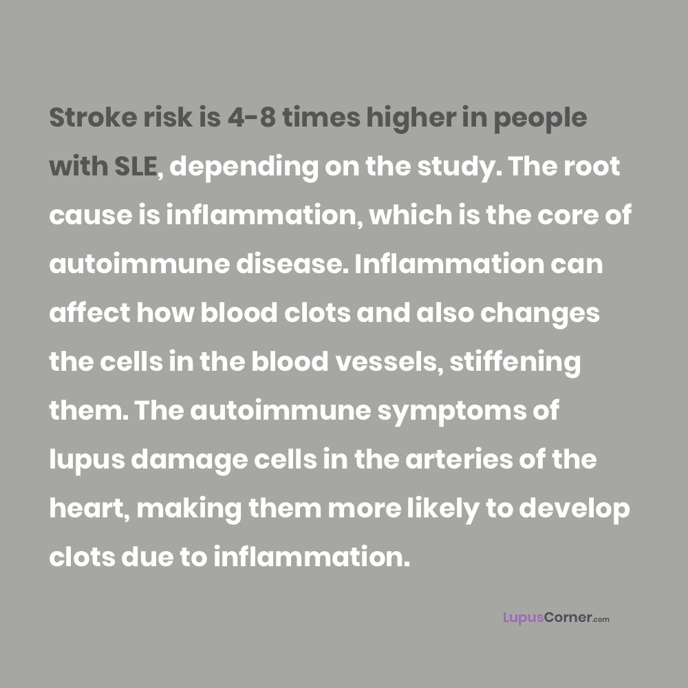 LupusCorner's tweet photo. Inflammation, Stroke Risk, and Lupus https://t.co/U9Vpsd4SXj