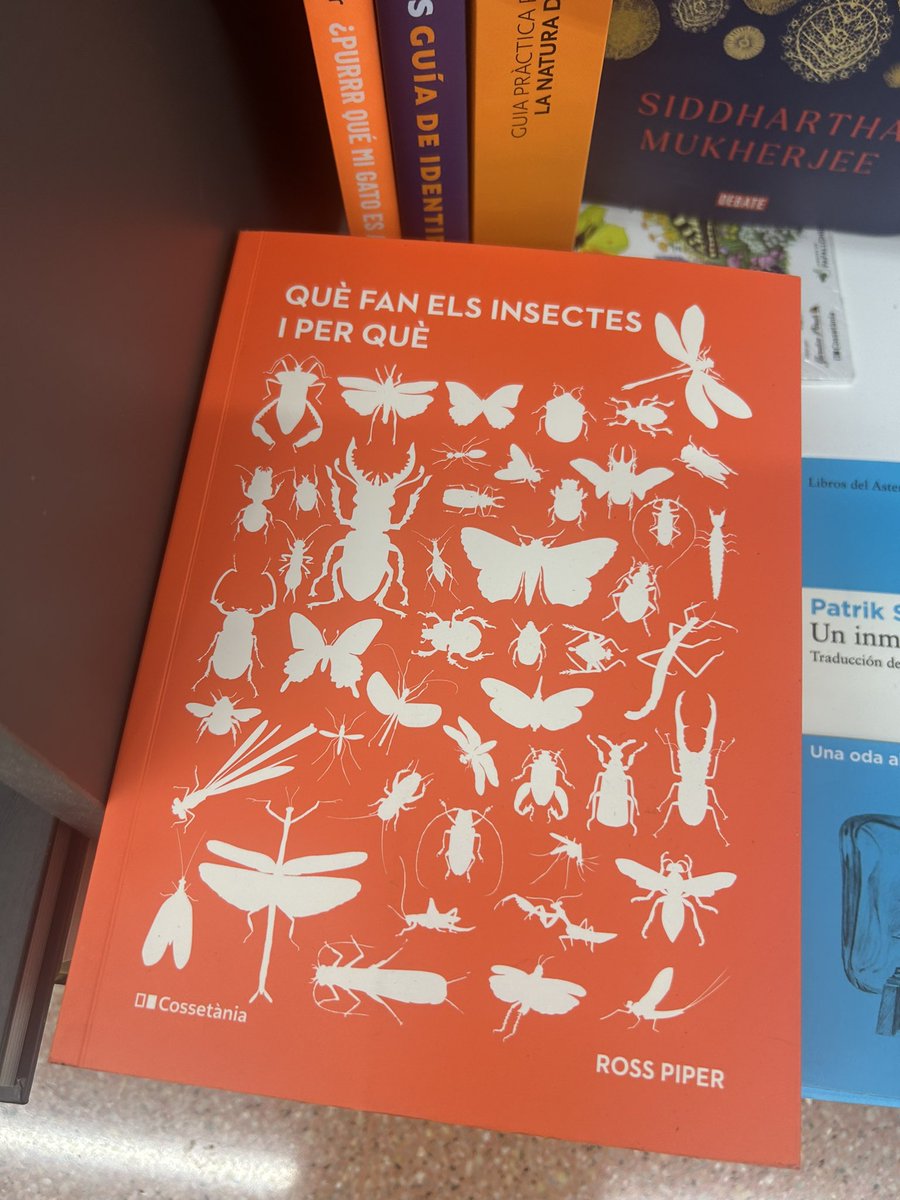 Esc Font del Roure tweet media