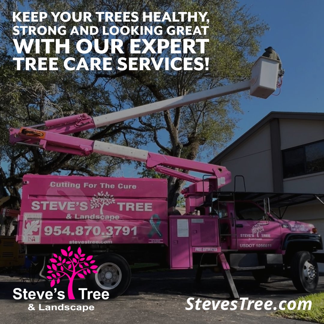 StevesTreeLand's tweet photo. 🌳 Discover 3 Key Reasons to Hire Professional Tree Services!

1. Boosting Home Value
2. Safety First
3. Eco &amp; Cost Savings

✨ The Best Tree Services in Miami:. 
https://t.co/upgOH7o583

🌿 Contact Us Today!

#TreeCare #Arborist #TreeTrimming https://t.co/bNlYxJTcdI