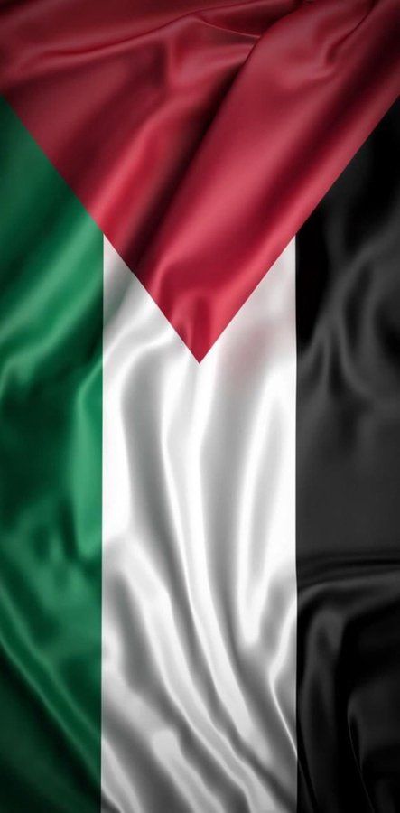 Palestina y México, Coordinadora de Solidaridad (@corsopal) on Twitter photo 