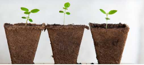Tips for Maintaining Positive Energy #positivity   susanhanshaw.com/2007/07/02/tip…