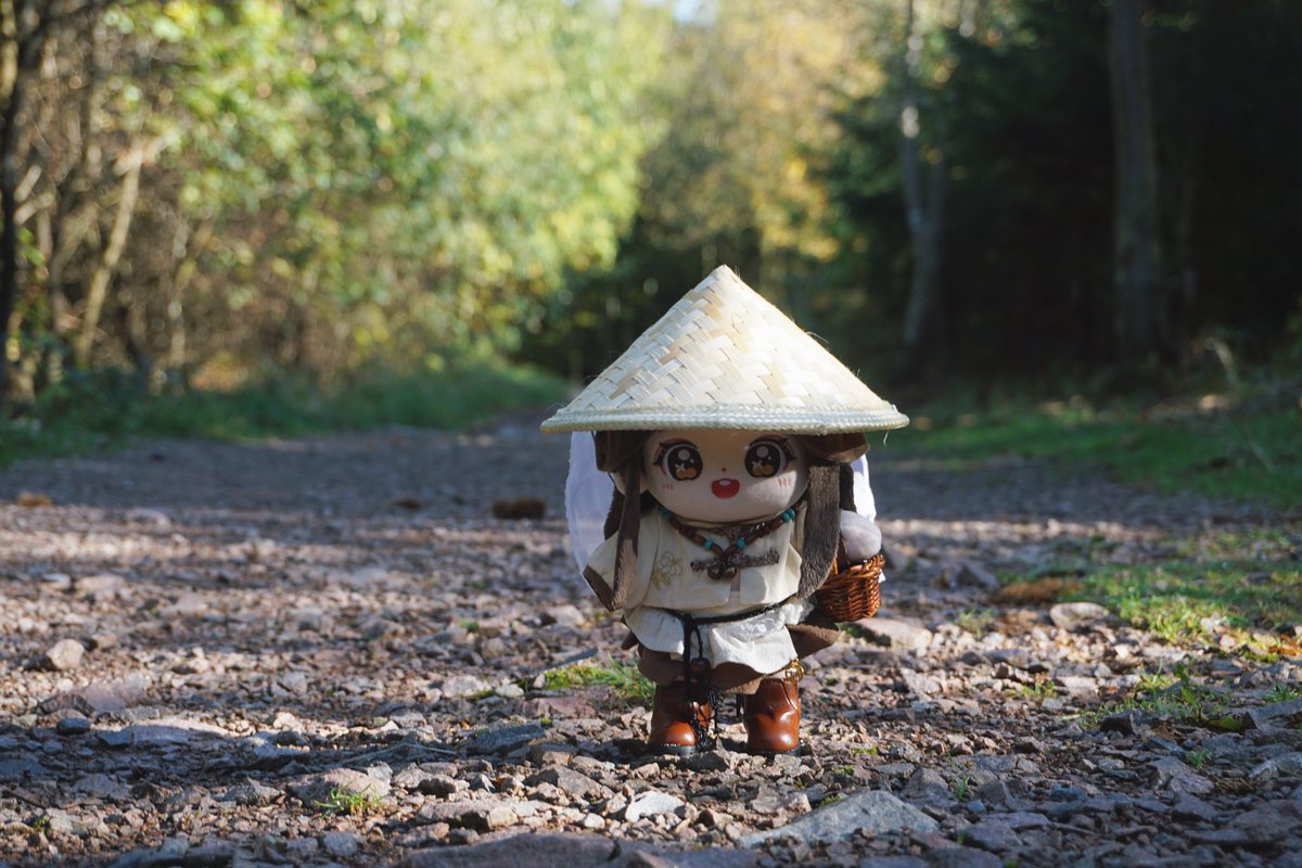 XL: "Guess what I'm doing today!

I'm going to the woods!! I can't wait to see how many chestnuts I can find. It's chestnut season so there will be lots of them!