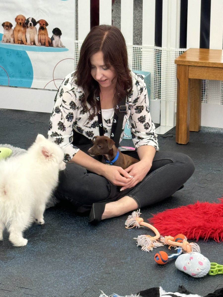 ADSKCommunity's tweet photo. The puppy park is a hit here at #AU24! 🐶 come by and get your share of snuggles and playtime with these sweet babies courtesy of @puppyloveparty ❤️ https://t.co/jUk1DcHuwM