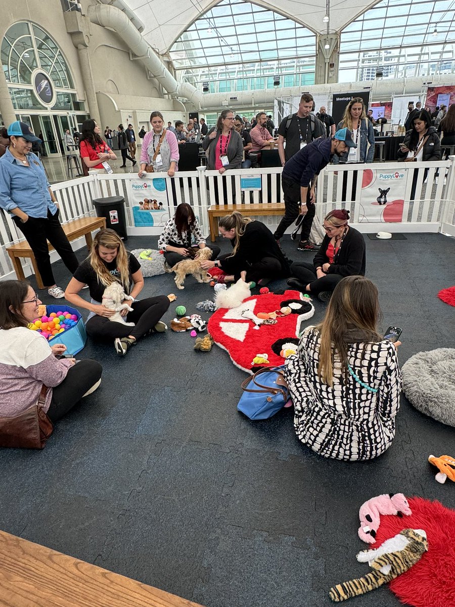 ADSKCommunity's tweet photo. The puppy park is a hit here at #AU24! 🐶 come by and get your share of snuggles and playtime with these sweet babies courtesy of @puppyloveparty ❤️ https://t.co/jUk1DcHuwM