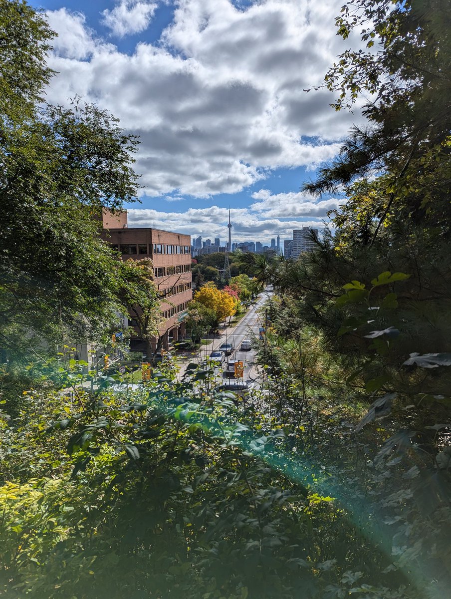 Dr Jess Mace tweet media