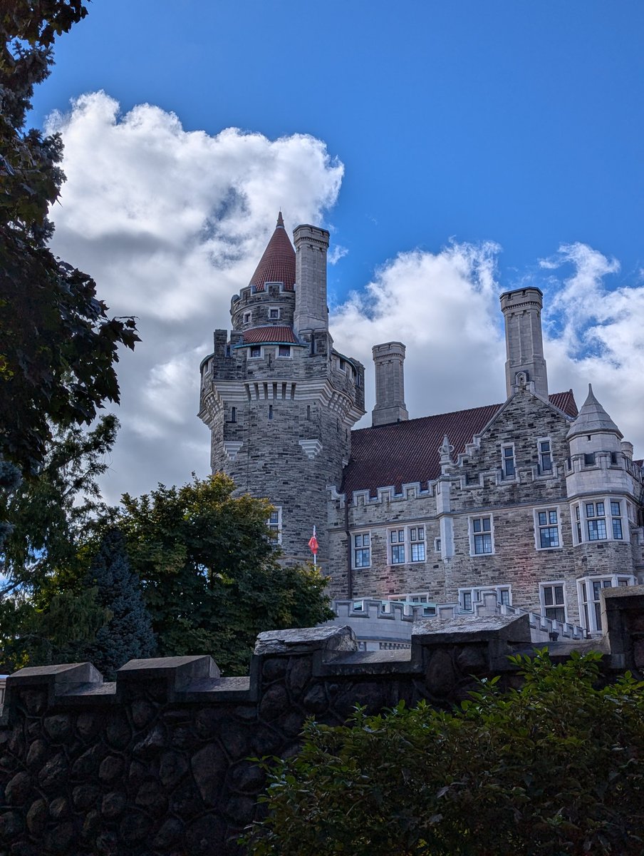 Dr Jess Mace tweet media