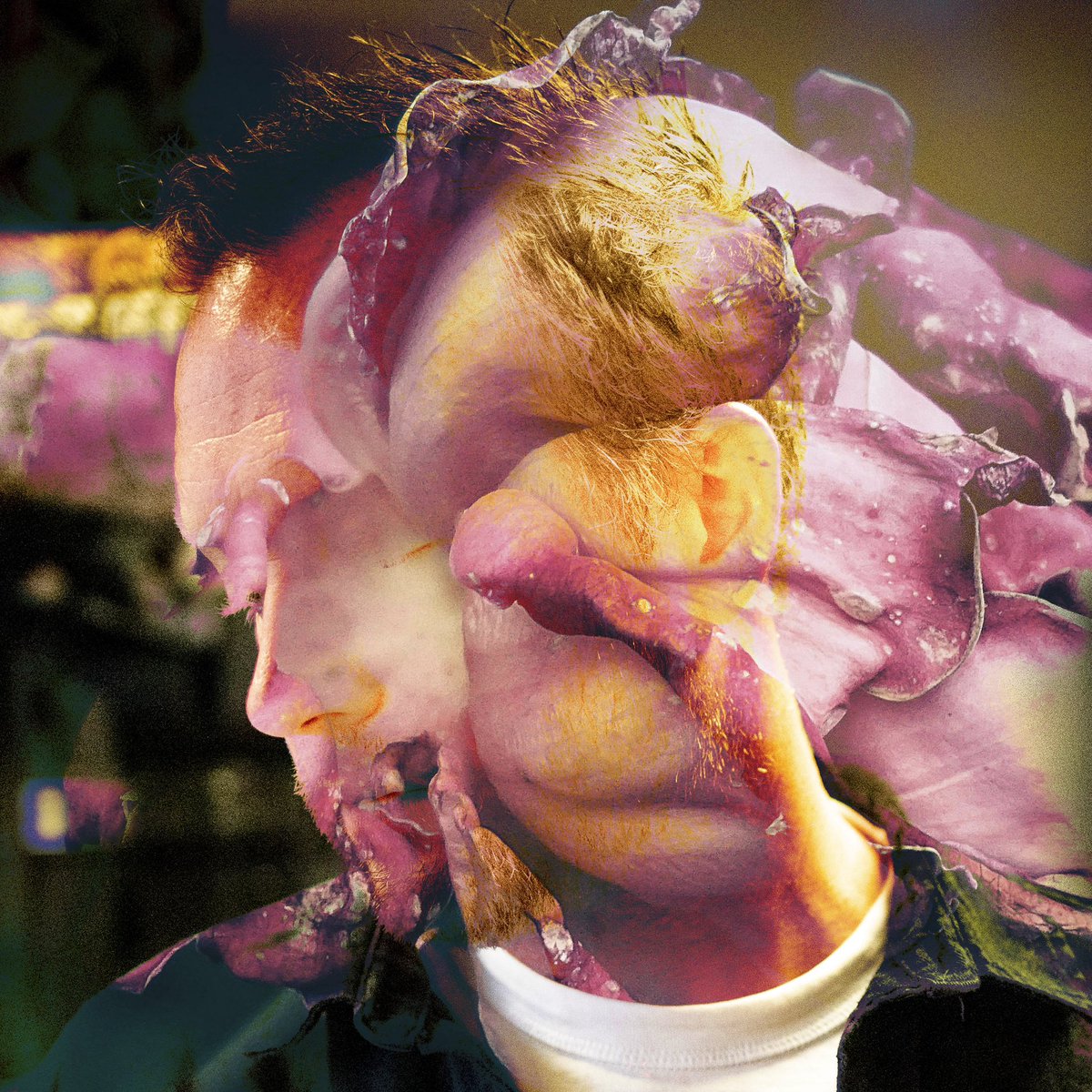 I now have instagram because I bet on all the wrong horses when I chose which social media accounts I might need: 

instagram.com/ch_t_l_t