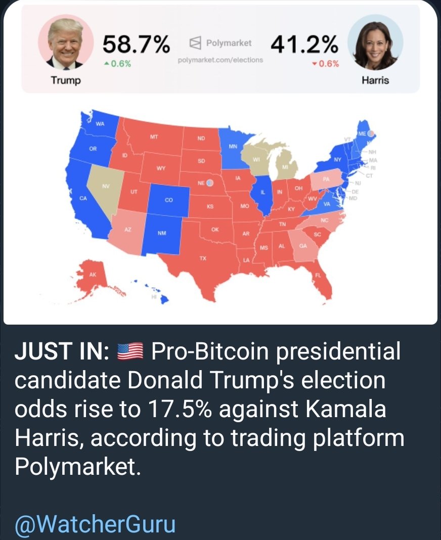 MommzDaBomb's tweet photo. @Noahhweb3 Get in early on $Trump and get ready for the election pump.
Watching whale wallets load up and hodl this one. They know what's about to happen.
Just over 2 weeks to the election.
BULLISH.
@oldest_trump
#firsttrumpcoin
#oldesttrumpcoin https://t.co/roVYk2o9ov