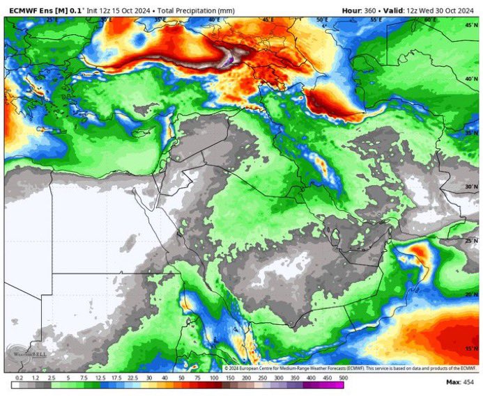 سرور الغرابي tweet media