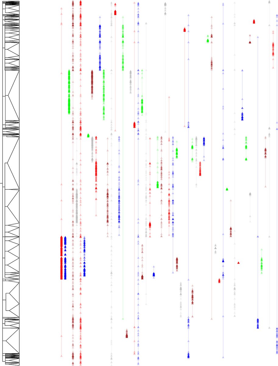 Systematic_Ent's tweet image. Our latest #EarlyView #OriginalArticle reports 
a quantification of phylogenetic coverage of insect diversity using a new compiled database of 1000 phylogenies

doi.org/10.1111/syen.1…
@WileyEcolEvol @RoyEntSoc