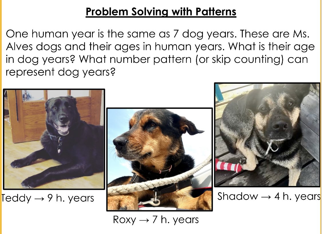 Rebecca Alves tweet media